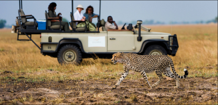 Namibia safari tours