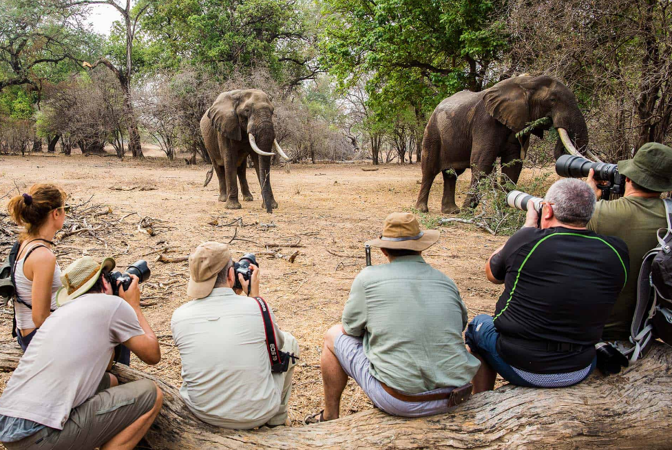 Safaris in Zimbabwe