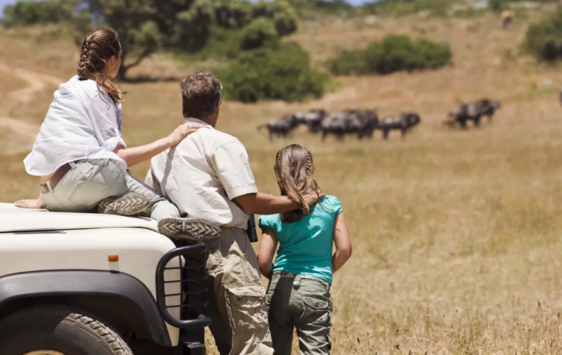 Safaris in Zimbabwe