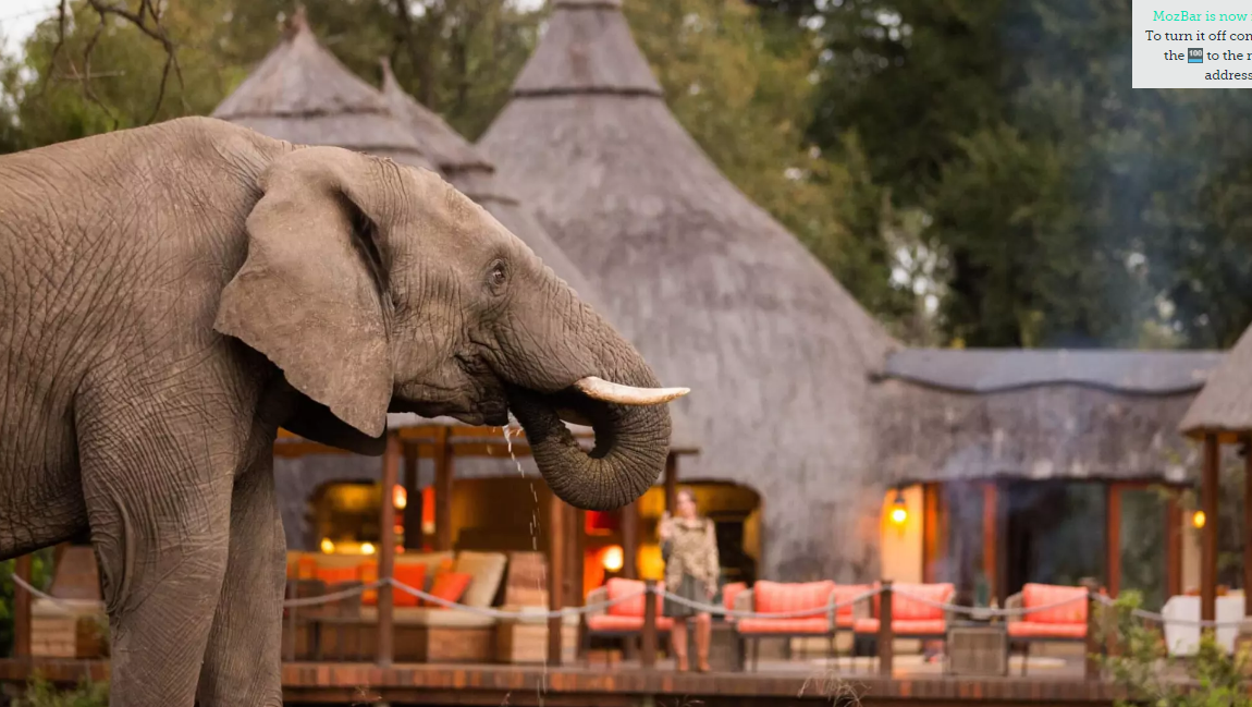 South African luxury safari tours