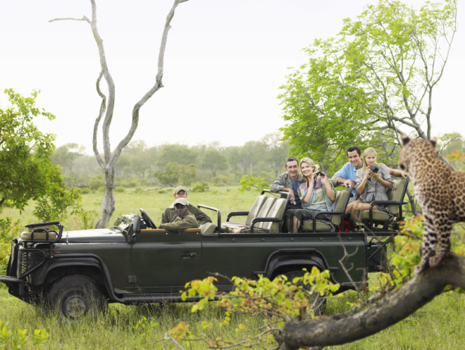 South African luxury safari tours