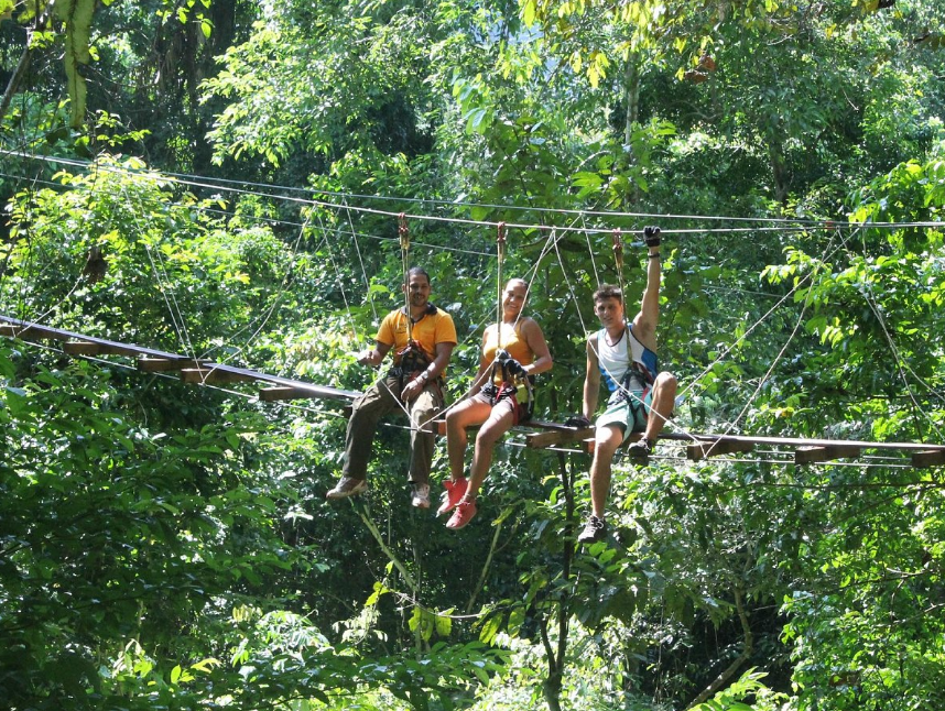 TreeTop Adventure Park