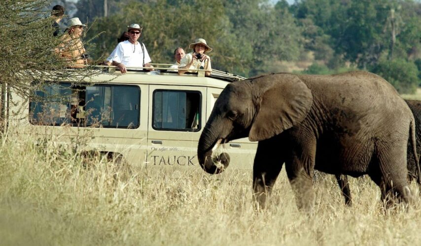 African safari tours