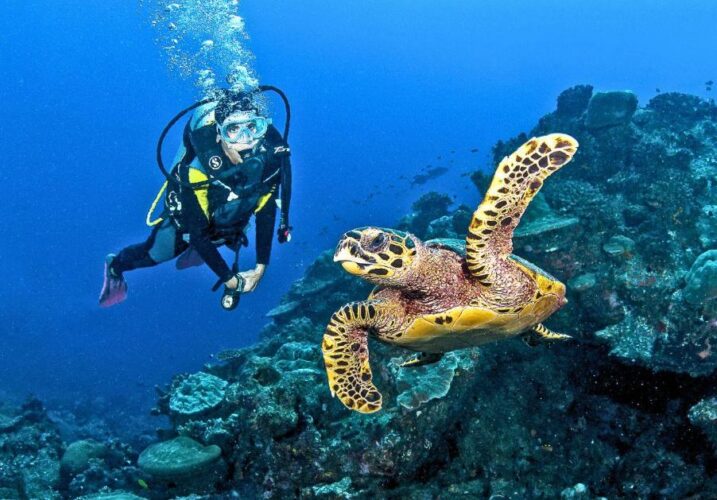 Blue Safari Seychelles