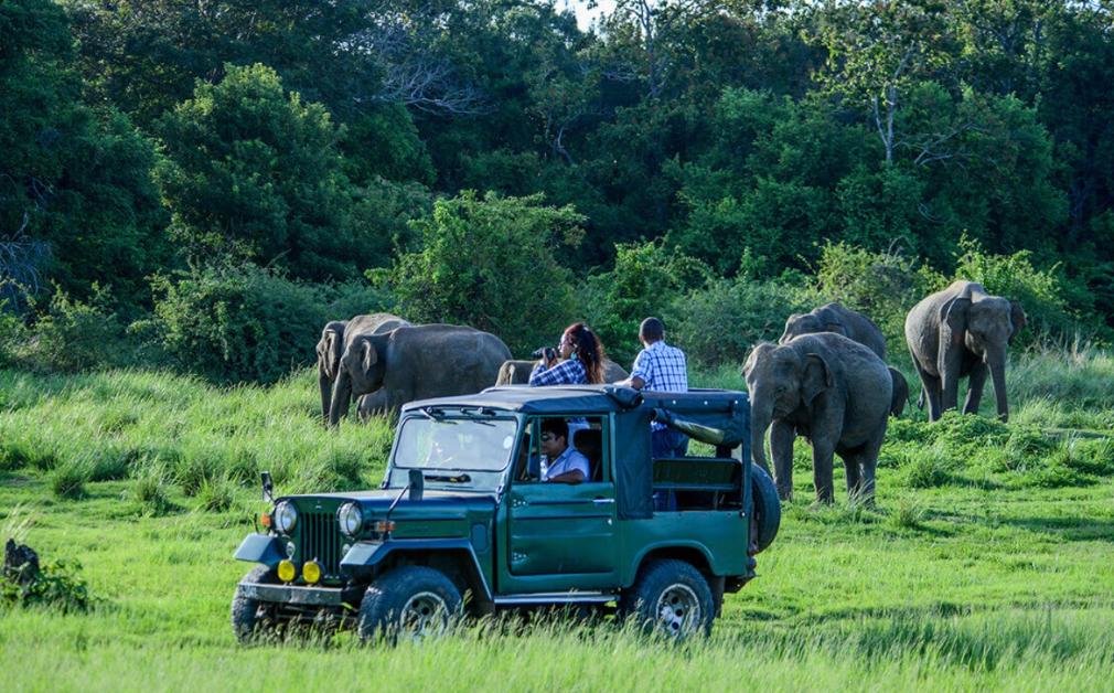 Blue Safari Seychelles