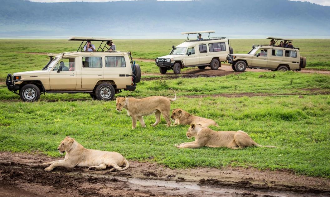 Kenya safari tour