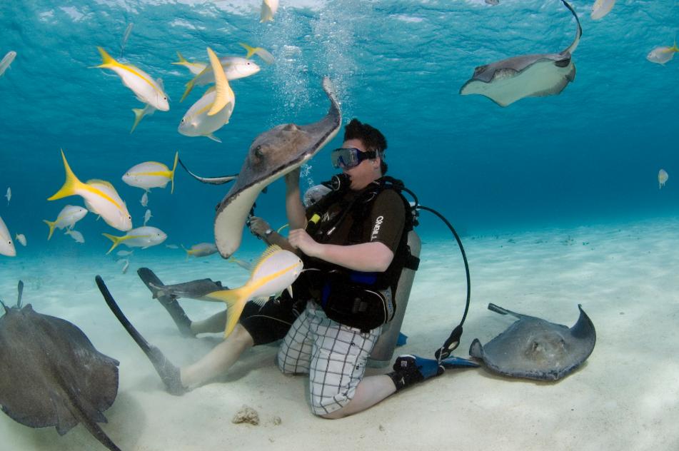 Stingray City Tour